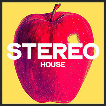 Various Artists - Stereo House (Top House 2020 Winter Selection)