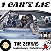 The Zebras - I Can’t Lie (Explicit)