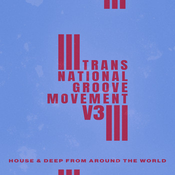 Various Artists - Trans-National Groove Movement - V3