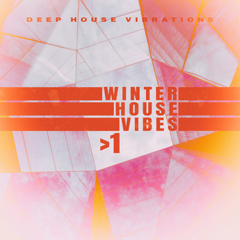 Various Artists - Winter House Vibes > 1
