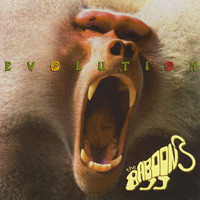 The Baboons - Evolution