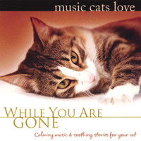 Bradley Joseph - Music Cats Love: While You Are Gone