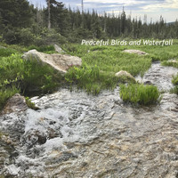 Calm Singing Birds Zone - Peaceful Birds & Waterfall