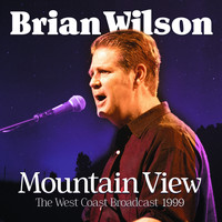 Brian Wilson - Mountain View
