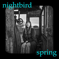 Nightbird - Spring