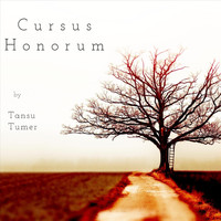 Tansu Tumer - Cursus Honorum