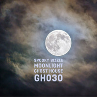 Spooky Bizzle - Moonlight