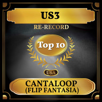 Us3 - Cantaloop (Flip Fantasia) (Billboard Hot 100 - No 9)