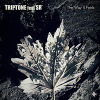 Triptone - The Way It Feels