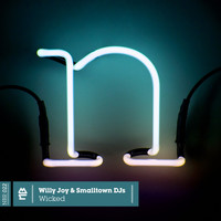 Willy Joy, Smalltown DJs - Wicked