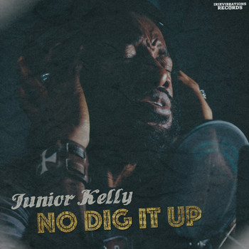 Junior Kelly - No Dig It Up