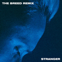 Teesy - Stranger (The Breed Remix)