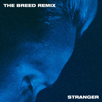 Teesy - Stranger (The Breed Remix)