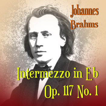 Johannes Brahms - Intermezzo in Eb Op. 117 No. 1