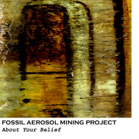 Fossil Aerosol Mining Project - About Your Belief