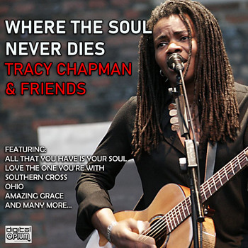 Tracy Chapman - The Soul That Never Days (Live)