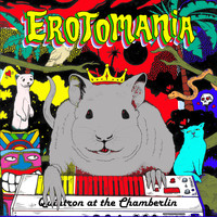 Quintron - Erotomania - Quintron at the Chamberlin
