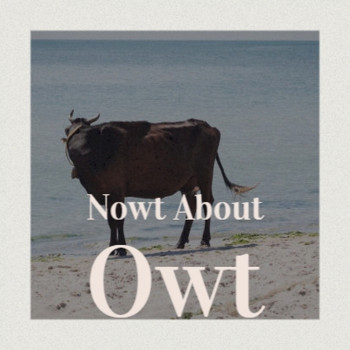 Various Artist - Nowt About Owt