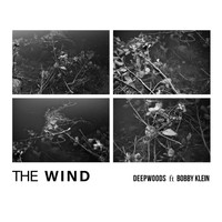 DeepWoods - The Wind