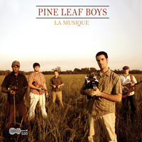 Pine Leaf Boys - La Musique