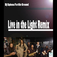 Fertile Ground - Live in the Light (Remix by Dj Spinna