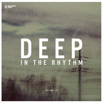 Various Artists - Deep in the Rhythm, Vol. 36