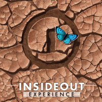 InsideOut A cappella - Experience