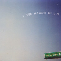 I See Hawks In L.A. - Grapevine