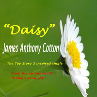 James Anthony Cotton - Daisy - Single