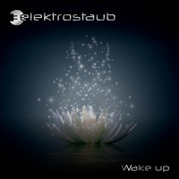 Elektrostaub - Wake Up