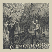 Diamond Dogs - S/T