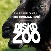 Igor Krsmanovic - Black Sheep
