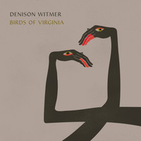 Denison Witmer - Birds of Virginia (Simplified Mix)