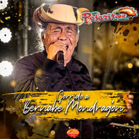 Los Pajaritos De Tacupa - Corrido a Bernabé Mondragón