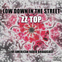 ZZ Top - Low Down In The Street (Live)