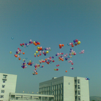 Static Noise Bird / - Nishiarai