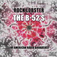 The B-52's - Rock Lobster (Live)