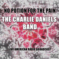 The Charlie Daniels Band - No Potion For The Pain (Live)
