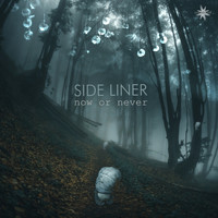 Side Liner - Now or Never (Explicit)