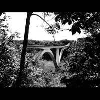 John Danley - Birdsong Hollow - Single