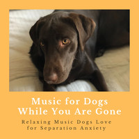 Music for Pets Specialists - Music for Dogs While You Are Gone - Relaxing Music Dogs Love for Separation Anxiety
