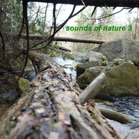 Jeff Owens - Sounds of Nature 3