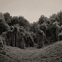 Kelly McFarling - Deep the Habit