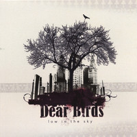 Low in the Sky - Dear Birds