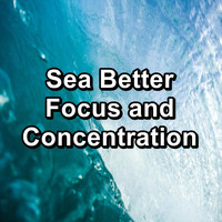 Beach Sounds - Sea Better Focus and Concentration