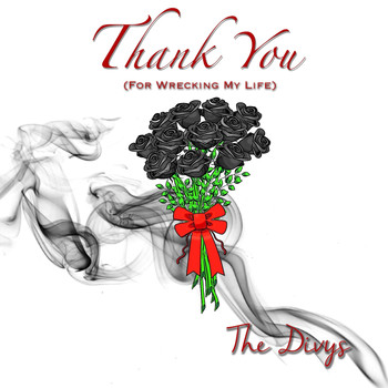 The Divys - Thank You (For Wrecking My Life) (Explicit)