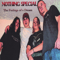 Nothing Special - Feelings Of A Dream