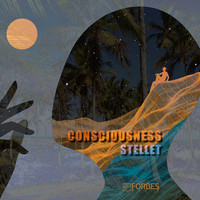 Stellet - Consciousness