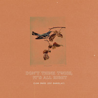 Clem Snide and Eef Barzelay - Don't Think Twice, It's All Right