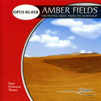 Penka Kouneva - Amber Fields